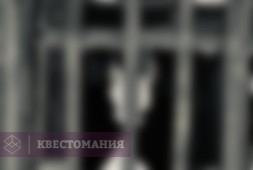 Выжить до рассвета