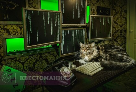 Квест Матрица. Перезагрузка