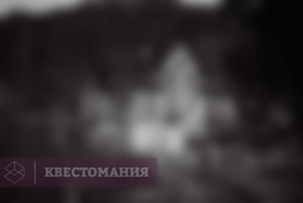 Ролевой квест Швейцарский отель