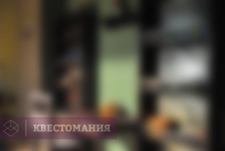 Квест Маша и медведь