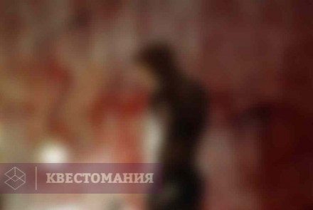 Квест Жить