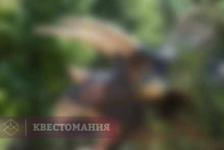 Квест-анимация По следам динозавров