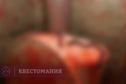 Квест Поворот не туда