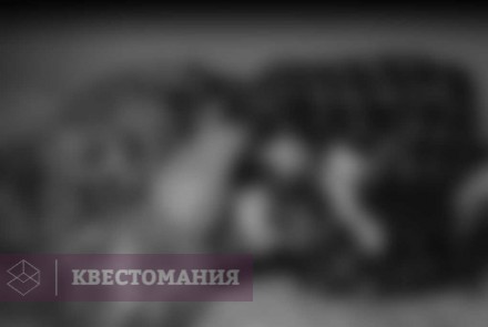 Квест Оно