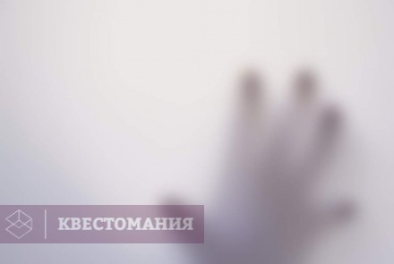Квест-Перформанс Project L.I.F.E.