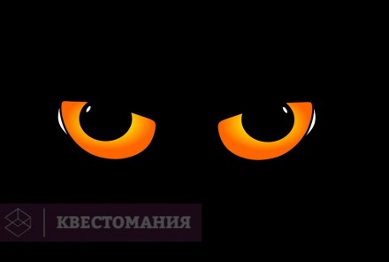 Экшн-игра Прятки