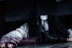 Звонок
