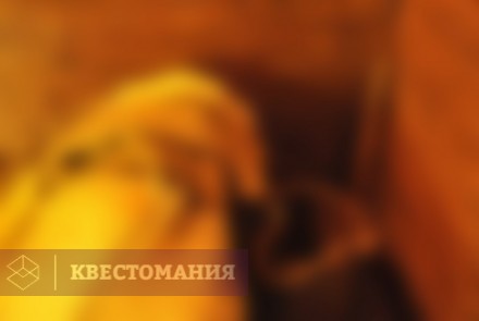 Квест Ведьма