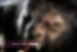 Нора зверя