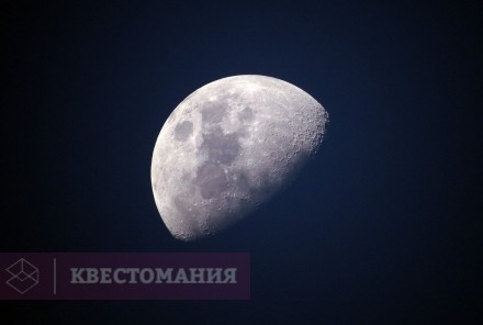 Квест-анимация Among Us
