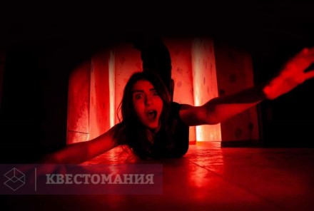 Квест-Перформанс Коллекционер