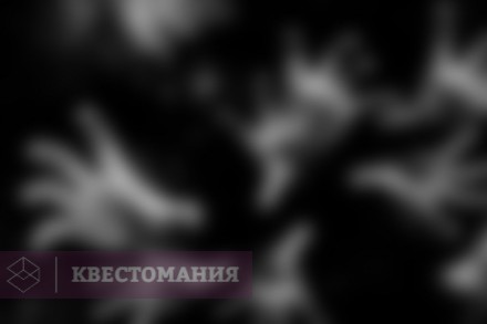 Квест-Перформанс По ту сторону