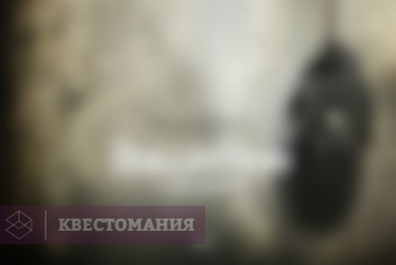 Квест Коллекционер
